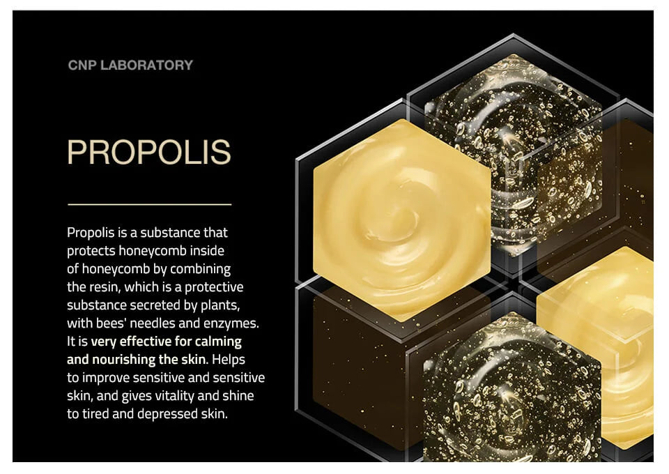 CNP Propolis Energy Active Ampoule